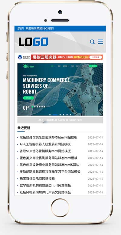 (自适应手机端)网站优化SEO博客类网站模板-带广告位